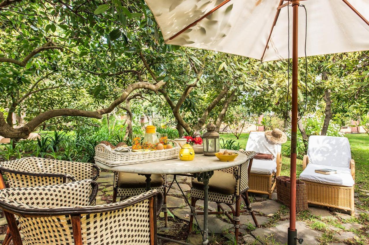 Homeforguest Cosy Rural Flat El Romero With Large Gardens Такоронте Экстерьер фото
