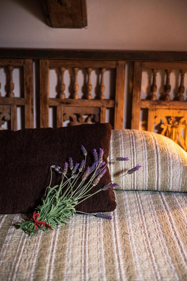 Homeforguest Cosy Rural Flat El Romero With Large Gardens Такоронте Экстерьер фото